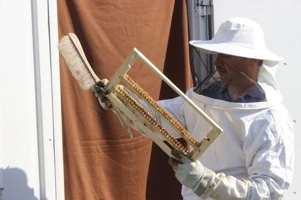 Kilogramı 4 bin TL'den satılıyor-8