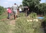 Adana şok olay! Su borusunda ceset bulundu