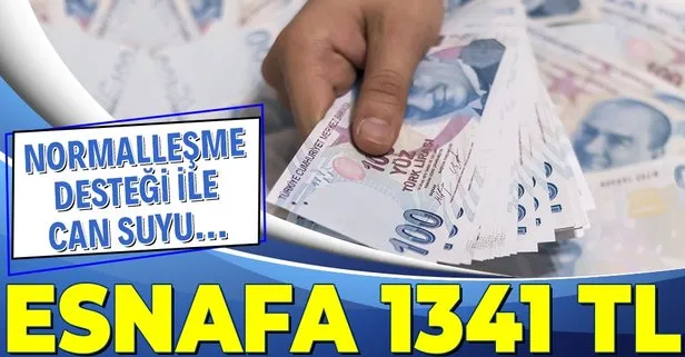 Esnafa pandemi desteği 1341 TL