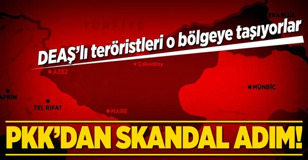 PKK'dan skandal adım! DEAŞ'lı teröristleri o bölgeye taşıyorlar