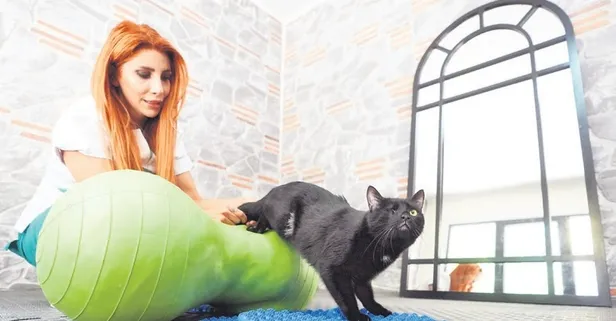 Kazazede kedi fizyoterapi sayesinde ayaklandı