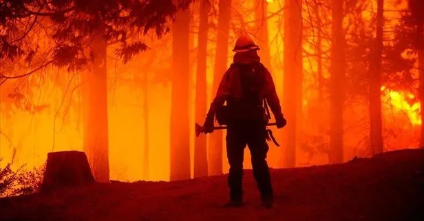 California’daki orman yangınlarında bu yıl rekor düzeyde alan yandı