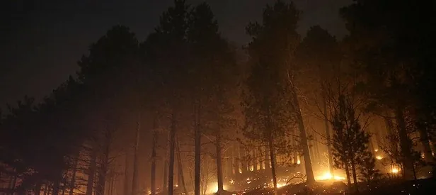 Çanakkale’de orman yangını