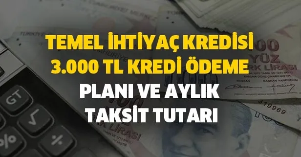 temel ihtiyac kredisi 3 000 tl kredi
