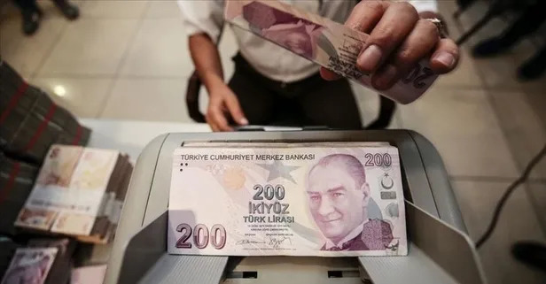 Merkez Bankası, YUVAM hesaplarına ilişkin bilgilendirme sitesini kullanıma açtı