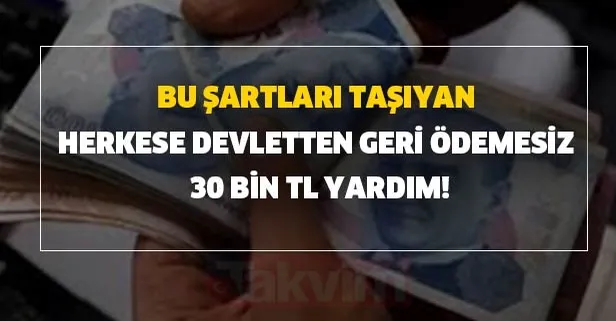 30 bin tl yardim bu sartlari tasiyan herkese devletten geri odemesiz verilecek iste tum detaylari takvim