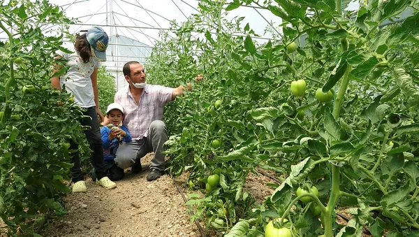 sehirde-dogup-buyuyen-adam-genc-ciftci-projesiyle-koyune-dondu-1593427651144.jpg Şehirde doğup büyüyen adam, "Genç Çiftçi" projesiyle köyüne döndü-5