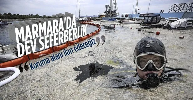 Deniz salyasına karşı temizlik seferberliği başladı! Bakan Kurum: Marmara Denizi’ni koruma alanı ilan edeceğiz
