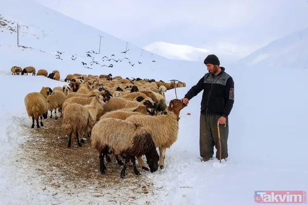 Kar kalınlığı 2 metreyi aştı! Van'ın köylerinde 'beyaz esaret' yaşanıyor - 34