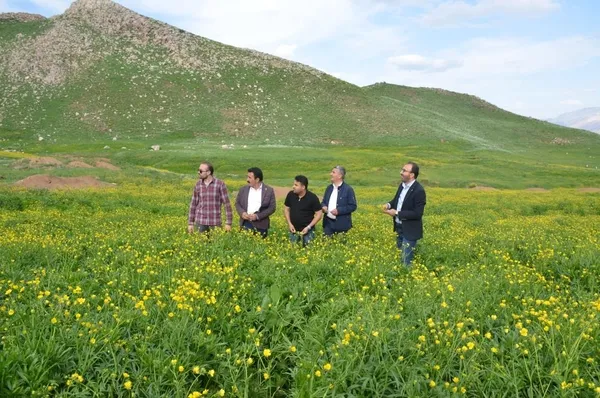 terorden-temizlenen-sirnak-beytussebap-ilcesinde-kato-daginin-cennet-gibi-arka-yuzu-35-yil-sonra-ilk-kez-goruntulendi-1621493081847.jpg Terörden temizlenen Şırnak Beytüşşebap ilçesinde Kato Dağı'nın cennet gibi arka yüzü 35 yıl sonra ilk kez görüntülendi-8