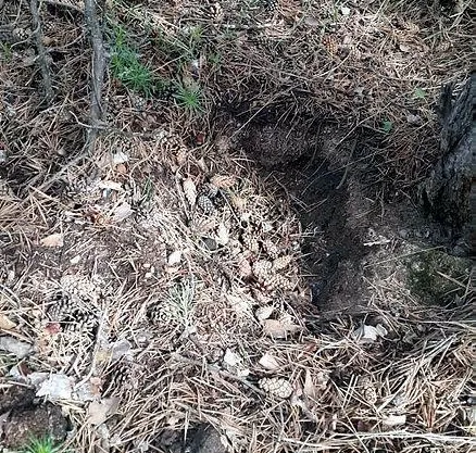 Tüyler ürperten olayda yeni gelişme!-3