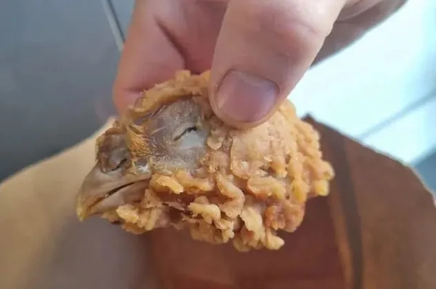 Ünlü restoran zinciri KFC'de mide bulandıran olay! Müşteriye tavuğun kafasını verdiler