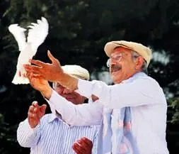 Güvercin ve kasket