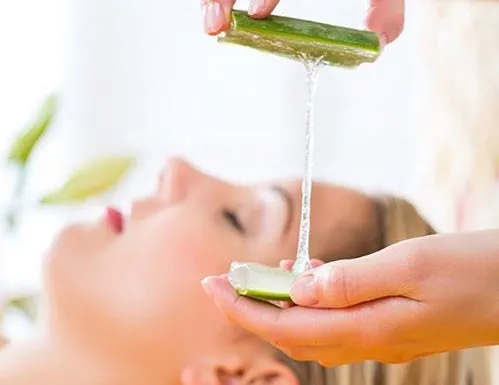Aloe vera sivilceye veda