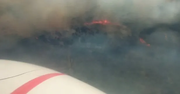 İzmir’de korkutan orman yangını! Kısa sürede kontrol altına alındı