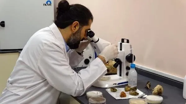 olumsuzluk-mantari-turkiyede-uretildi-kilosu-3-bin-lira-1610778431206.jpg Ölümsüzlük mantarı Türkiye'de üretildi! Kilosu 3 bin lira-6