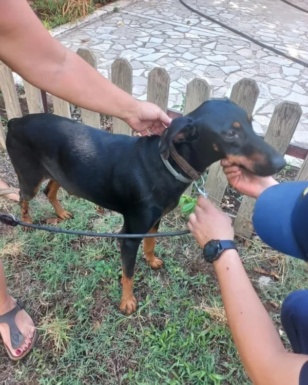 korhan-berzeg-hala-bulunamadi-tinanin-74-gun-sonra-geri-donmesiyle-tum-senaryolar-degisti-1693492920407.jpg Korhan Berzeg hala bulunamadı! Tina'nın 74 gün sonra geri dönmesiyle tüm senaryolar değişti!-6