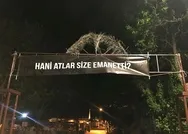 Adalarda hayvanseverler İBBye kayıp atların akıbetini soran tepki pankartları astı! Hani atlar size emanetti?