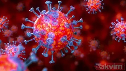 Corona virüse karşı güçlü bağışıklık sistemi şart! Bağışıklık sistemini güçlendiren besinler nelerdir?