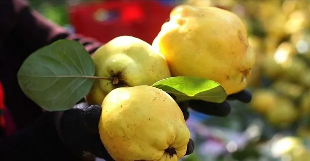 Göz sağlığına ayva