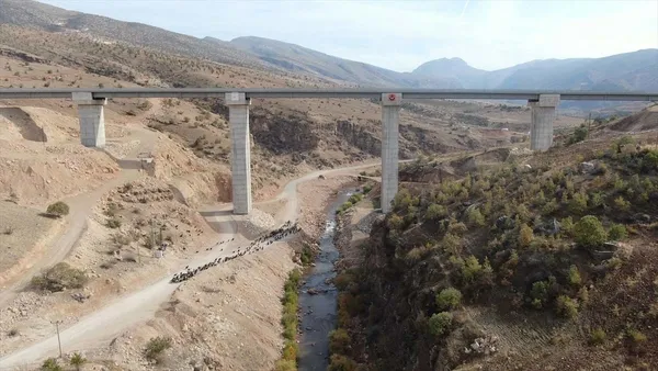 siirt-ile-sirnaki-birbirine-baglayacak-tarih-belli-oldu-zarova-koprusu-hizmete-aciliyor-1638447095637.jpg Siirt ile Şırnak'ı birbirine bağlayacak! Tarih belli oldu! Zarova Köprüsü hizmete açılıyor...-10
