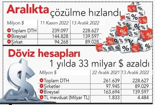 doviz-hesaplarinda-1-ayda-105-milyar-dolar-cozulme-1671515558039.jpg