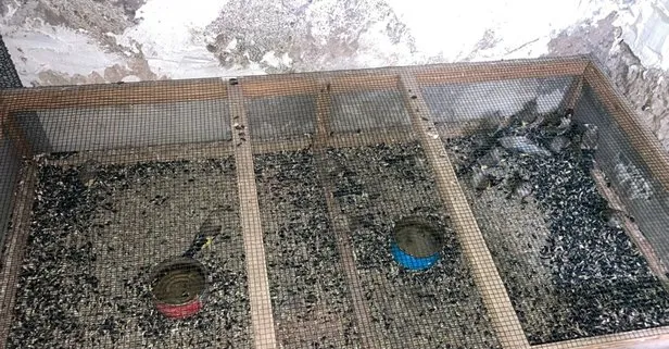 120’sine de el konuldu! Her biri için 1000 TL ceza kesildi