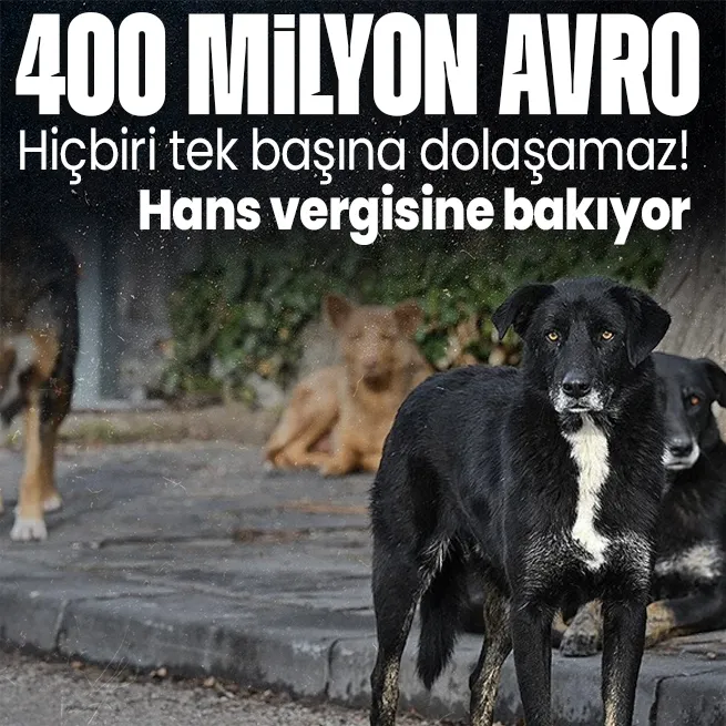Köpek sahiplerinin vergi verdiği Almanyada yıllık yaklaşık 400 milyon avro barınaklara aktarılıyor