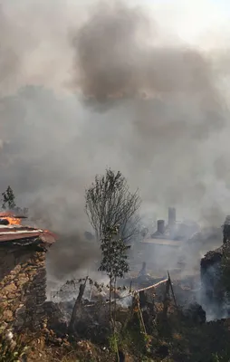 Muğla'da orman yangını