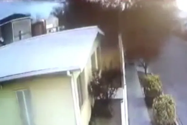 gorenler-soke-oldu-meksikada-kus-surusu-bir-anda-yere-cakildi-1644530287301.jpg Görenler şoke oldu: Meksika'da kuş sürüsü bir anda yere çakıldı-2