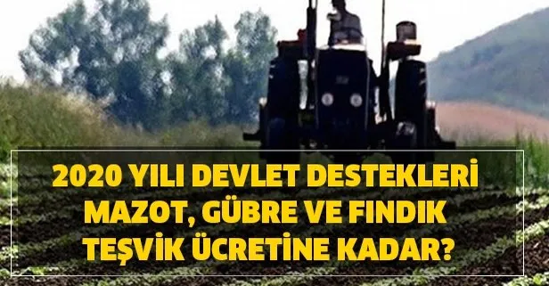 2020 yili devlet destekleri hibe