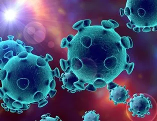 Koronavirüs ölüm, vaka ve iyileşen sayısı kaç oldu? İşte son durum
