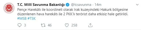 Son dakika: Irak kuzeyine hava harekatı: 2 PKK’lı terörist daha etkisiz hale getirildi-1