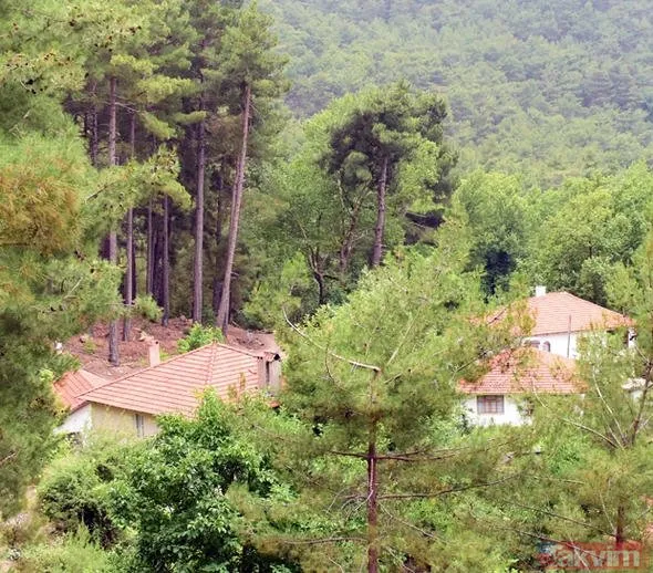 Özgü Namal'ın köy hayatı böyle görüntülendi