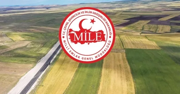 21.000 TL'den 88.000 TL'ye kadar satılık hazine arsası! İmarlı ve boş durumda