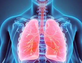 Rüyada ciğer görmek ne anlama gelir?