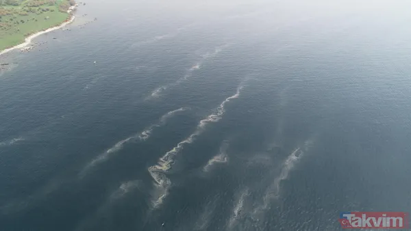 Müsilaj kabusu geri döndü! İstanbul'da müsilaj her geçen dakika artıyor - 11