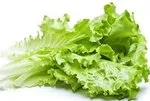 Kıvırcık sadece salata değil, tam bir şifa kaynağı