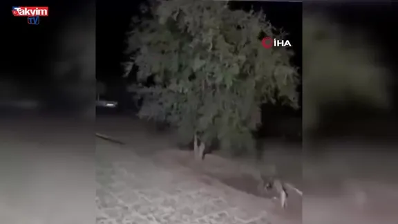 İran’da kontrol noktasına kanlı saldırı: Ölüler var!