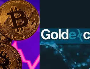 Goldexco.in battı mı? GLDX Token alım satımı durdu mu?
