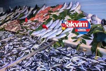 Güncel balık fiyatları: İstavrit, uskumru, mezgit, çinekop, lüfer...