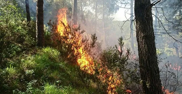 Aydos Ormanı’nda yangın