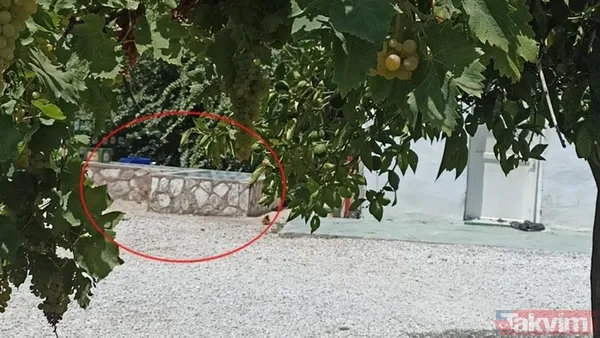 18 yaşında vahşice katledilen Zehra Bayır'ın son konuşmaları ortaya çıktı! Eski nişanlısı Zehra'yı bu sözlerle anlattı - 10