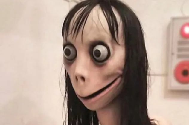 Cumhurbaşkanlığı'ndan Momo'ya karşı 8 önlem