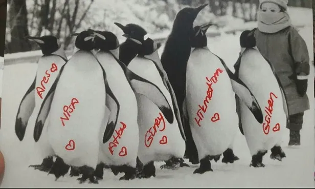 Gülben Ergen'e Yeşim Salkım ve Seren Serengil'den tepki-12