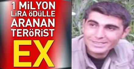 1 milyon lira ödülle aranan terörist etkisiz hale getirildi