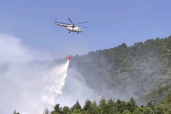 afet-bolgesi-ilan-edilince-ne-olur-afet-bolgesi-ne-demek-afet-bolgesi-ilan-edilen-yerler-nereler-1627739514693.jpg Afet bölgesi ilan edilince ne olur? Afet bölgesi ne demek? Afet bölgesi ilan edilen yerler nereler?-3