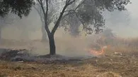 Havadan ve karadan müdahale ediliyor