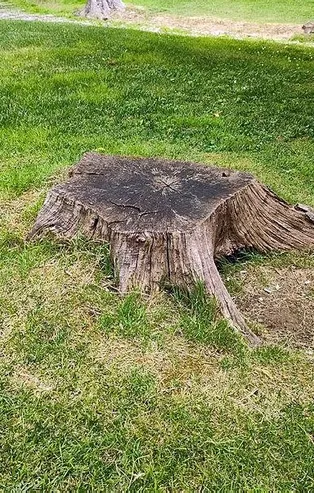 CHP'li İBB’nin tebligat yalanı tutmadı