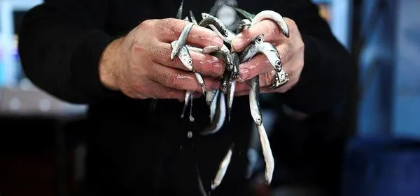 karadenizde-hamsi-avina-10-gun-yasak-getirildi-1610033637866.jpeg SON DAKİKA HABERİ! Tarım ve Orman Bakanlığı duyurdu: Karadeniz’de hamsi avına 10 gün yasak-1